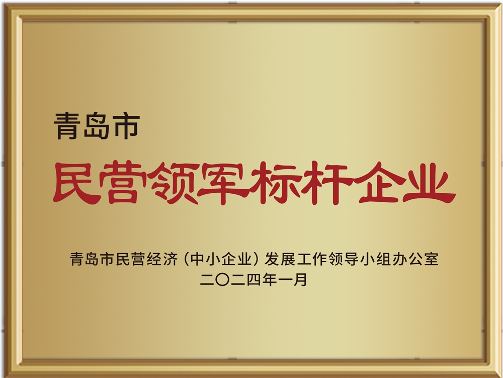 202401-青岛市民营领军标杆企业