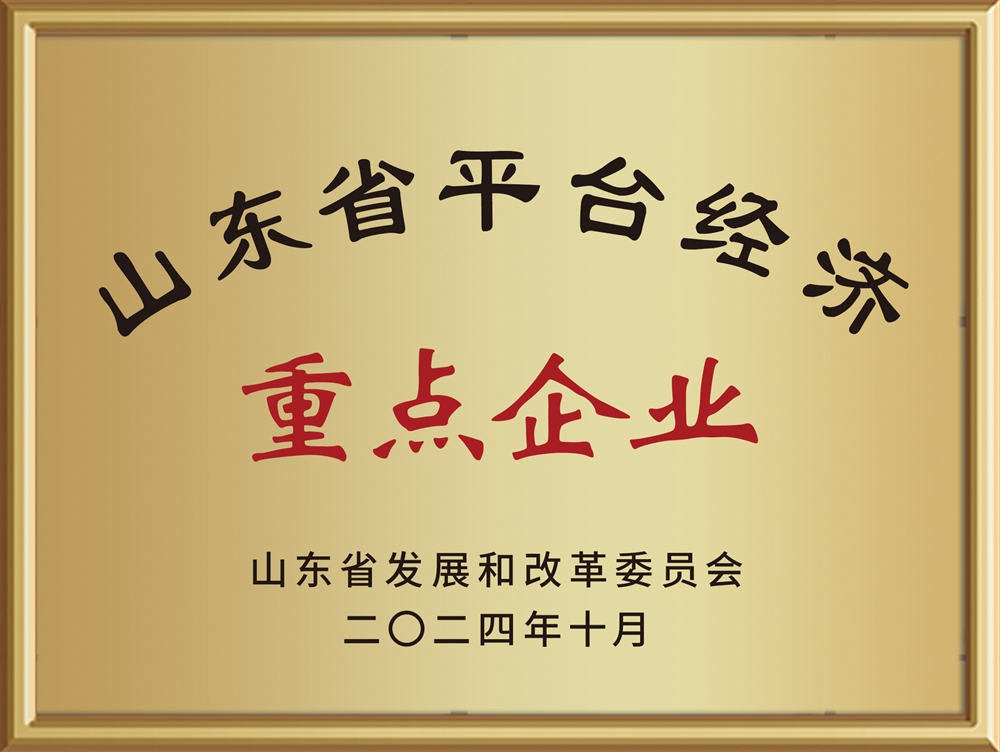 202410-山东省平台经济重点企业