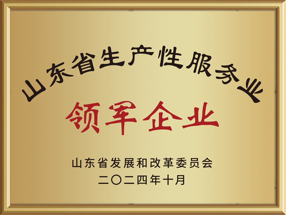 202410-山东省生产性服务业领军企业
